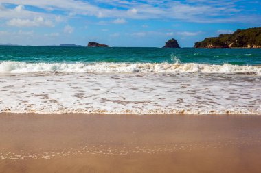 Okyanus akışı. Martı ıslak kumda atlar. Yeni Zelanda, Kuzey Adası. Katedral Koyu 'na giden yol. Aktif, egzotik, ekolojik ve fotoğraf turizmi kavramı