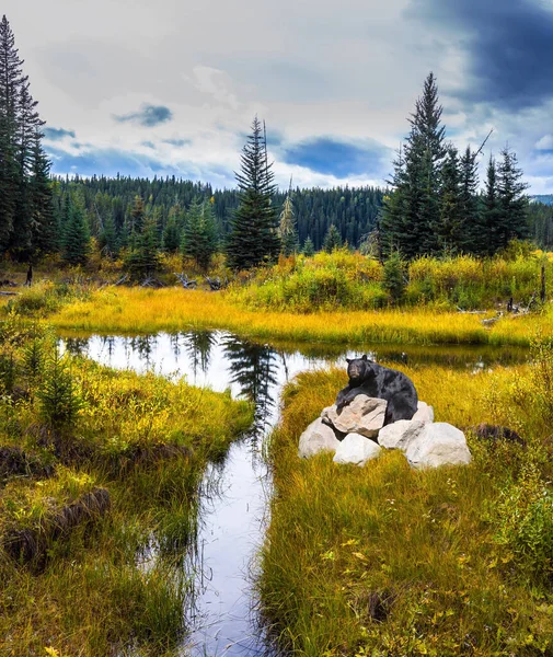 Huge Black Bear Sits Stone Lake Bighorn Highway Canadian Rockies — Stock Photo, Image