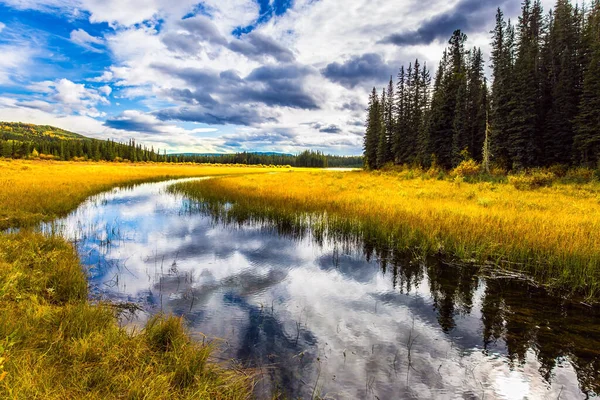 Tranquilo Lago Poco Profundo Rodeado Bosque Hierba Amarilla Otoño Agua —  Fotos de Stock