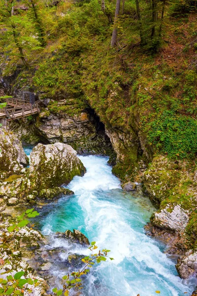 Slowenien Wintgar Gorge Canyon Den Julischen Alpen Zwischen Den Steilen — Stockfoto