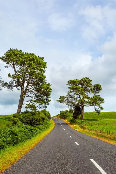 Chemin Vers Rotorua Route Parmi Les Champs Verts Île Nord — Photo