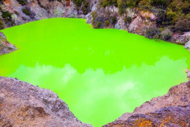 Yeni Zelanda, Kuzey Adası. Rotorua 'nın eşsiz jeotermal alanı. Parlak yeşil suyu olan Şeytan Hamamı. Volkanik Vadi Waimangu, Wai-O-Tapu. Aşırı, egzotik ve fotoğraf turizmi konsepti