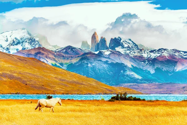 Famoso Parque Torres Del Paine Sur Chile Lagoon Azul Increíble — Foto de Stock