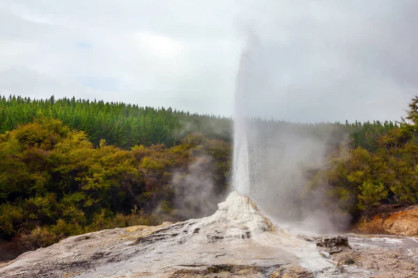 Extinction Daily Eruption World Famous Lady Knox Geyser Largest Geyser — Stock Photo, Image