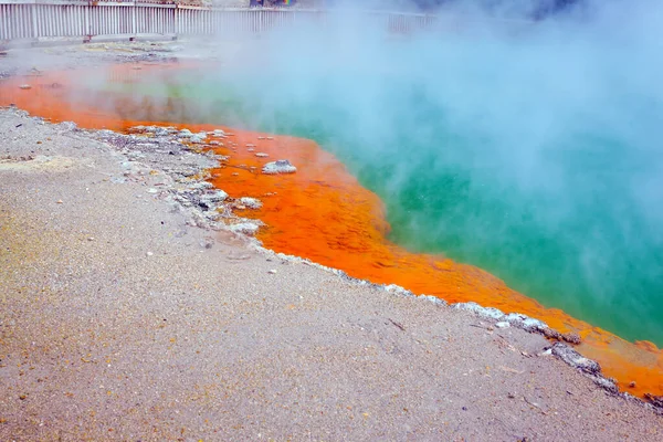 Hot lake with gas bubbles and orange shore. The geothermal zone of Rotorua. Wai-O-Tapu, New Zealand. Thermal Wonderland Champagne. The concept of exotic, ecological and photo tourism