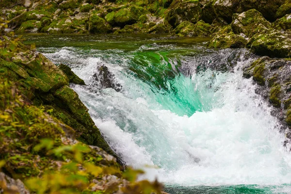 Eslovenia Las Aguas Azules Del Río Radovna Fluyen Entre Los — Foto de Stock