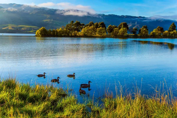 Scenic Spots New Zealand Huge Quiet Lake Way Queenstown Flock — Stock Photo, Image