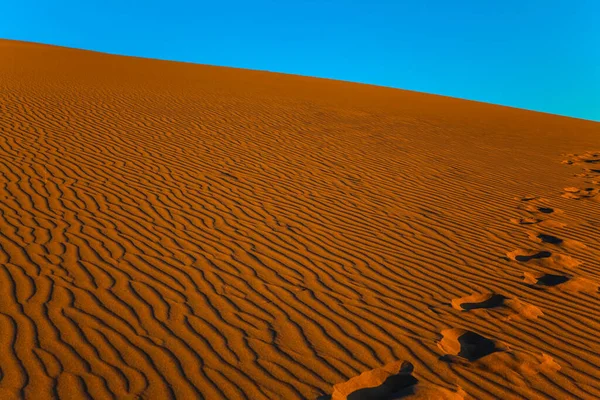 砂丘の中の足跡の絵の鎖 カリフォルニア州メスキート フラット サンド アメリカだ 砂漠のオレンジの夕日 活動的 生態学的 写真観光の概念 — ストック写真