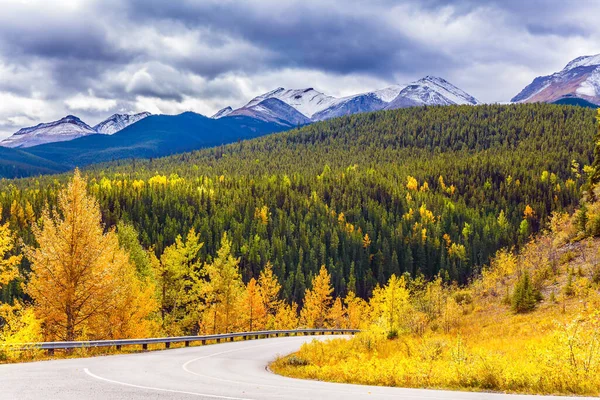 Cores Mágicas Outono Norte Road Miette Hot Springs Hottest Springs — Fotografia de Stock