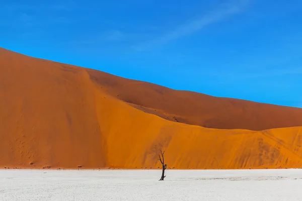 Clay Plateau Části Pouště Namib Naukluft Dně Vyschlého Jezera Sussussflay — Stock fotografie