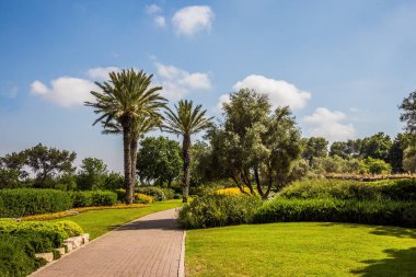 İsrail. Taş döşenmiş manzaralı yürüyüş yolu. Sıcak, güneşli bir gün. Temiz ve bakımlı bir parkta harika bir yürüyüş. Carmel Dağı yamaçlarındaki muhteşem botanik parkı.