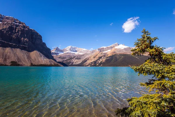 ボウ湖だ アルバータ州 アイスフィールド パークウェイは湖の岸に沿って走る人気のある観光道路です カナダのロッキー山脈 澄んだ紺碧の水と氷河湖 秋晴れの寒い日 — ストック写真