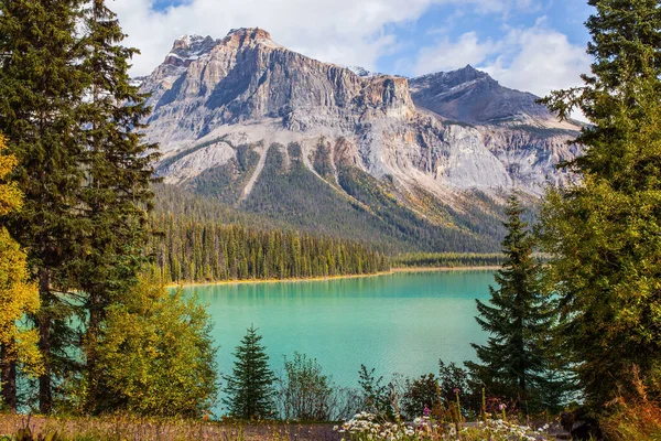 Pintoresco Lago Las Rocosas Canadienses Bosque Coníferas Picos Montaña Rodean —  Fotos de Stock