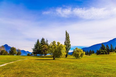 Çayırlar ve ağaçlar. Yeni Zelanda, Güney Adası 'na fantastik bir gezi. Şehrin çevresi, Queenstown tatil köyü. Aktif, ekolojik, otomotiv ve fotoğraf turizmi kavramı