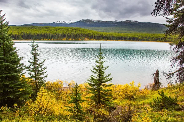 Jezero Maligne Zasněžených Horách Obklopeno Jehličnatými Věčně Zelenými Lesy Studený — Stock fotografie