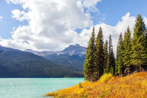 Zonnige Koude Dag Rocky Mountains Prachtig Emerald Lake Naaldbossen Bergtoppen — Stockfoto