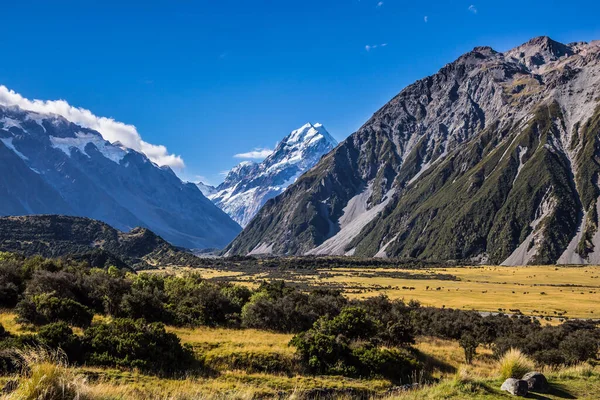 Conceito Turismo Ativo Caminhando Foto Topo Montanha Está Coberto Com — Fotografia de Stock