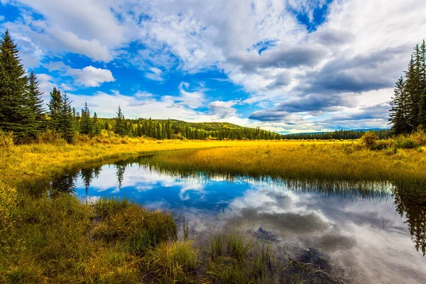 Herbe Jaune Sèche Autour Lac Peu Profond Rocheuses Canadiennes Pittoresques — Photo