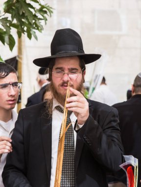 JERUSALEM, ISRAEL - OKTOBER 16, 2016: Sukkot bayramından önce geleneksel pazar. Siyah şapkalı dindar Yahudi, ayinsel bitki palmiyesini seçiyor.