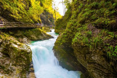 Slovenya. Dağ nehrinde kaynayan şelaleler. Vadinin yamaçlarında korkuluklu ahşap geçitler vardı. Vintgar geçidi. Gün batımı kaynayan akıntıyı aydınlatır. Aktif ve fotoğraf turizmi kavramı