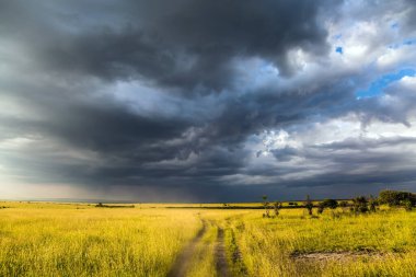 Çimenli bir bozkır üzerinde fırtına bulutları. Kenya 'daki ünlü Masai Mara Rezervi. Afrika 'ya yolculuk. Ekolojik, egzotik, aşırı ve fotoğraf turizmi kavramı