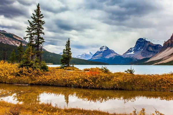 Rockies Canada Hierba Otoño Roja Amarilla Naranja Orillas Del Lago —  Fotos de Stock