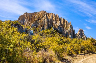  Görkemli doğal toprak oluşumları, Clay Cliffs. Güney Adası, Yeni Zelanda. Egzotik, aşırı, doğal ve fotoğraf turizmi kavramı