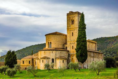 Resimli Toskana usulü. San Antimo antik manastırı. Güneşli bir sonbahar günü. Yeşil çayırlarda zeytin ağaçları. Aktif, kırsal ve fotoğraf turizmi kavramı