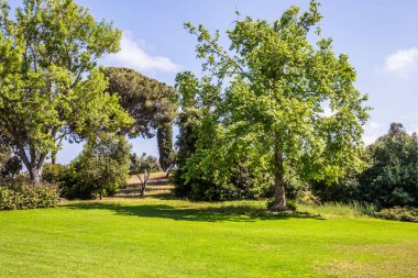 İsrail. Parkın ortasında büyük yeşil çimenli bir çayır. Carmel Dağı 'nın yamaçlarındaki muhteşem botanik parkı. Temiz ve bakımlı bir parkta harika bir yürüyüş.