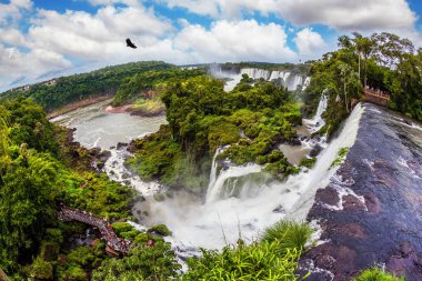 Siyah And Akbabaları suyun üstünde gökyüzünde daireler çiziyor. Arjantin 'de Şelale Iguazu. Resimli bazaltik çıkıntılar şelaleleri oluşturur. Aktif ve egzotik turizm kavramı
