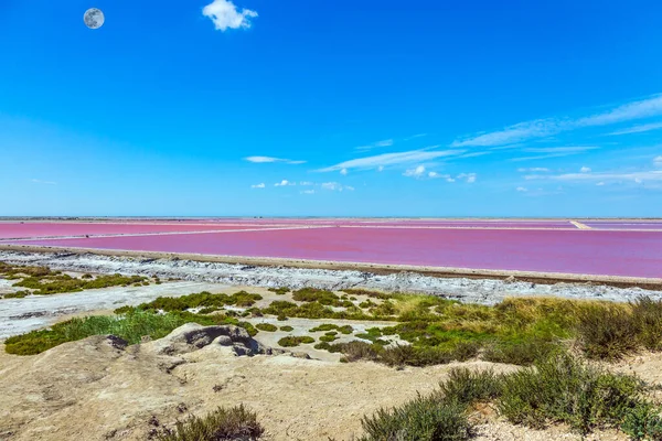 Costa Mediterránea Francia Pequeña Zona Camargue Estero Agua Salada Rosa —  Fotos de Stock