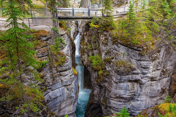 Maligne Kanyonu Ndaki Muhteşem Çağlayan Şelalenin Üzerinde Turist Köprüsü Güzel — Stok fotoğraf