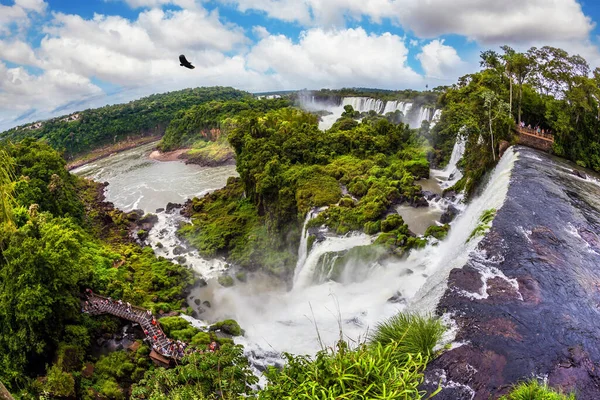Černí Andští Kondoři Krouží Obloze Nad Vodou Vodopády Iguazu Argentině — Stock fotografie