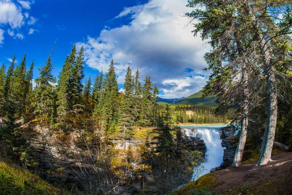 Meşhur Haşin Athabasca Şelalesi Kanada Kayalıkları Nda Resim Gibi Dar — Stok fotoğraf