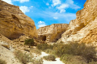 Rotadan başlayın. Muhteşem vadi Ein Avdat, Negev Çölü 'nün en güzelidir. İsrail. Duvarların içinde birçok mağara ve kayalar var. Aktif ve fotoğraf turnuvası konsepti