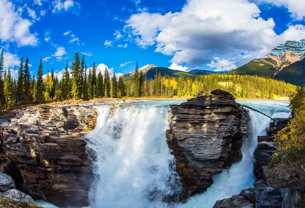 カナダだ ロッキー山脈のインドの夏 観光客に人気の強力な壮大なアサバスカ滝 旅行と写真観光のコンセプト — ストック写真