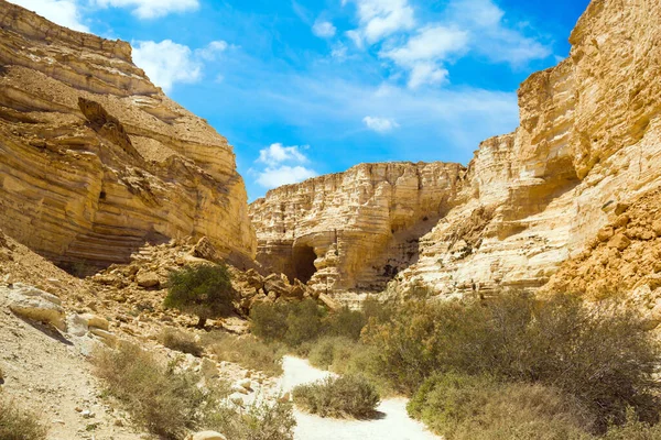 Start Route Magnificent Gorge Ein Avdat Most Beautiful Negev Desert — Stock Photo, Image