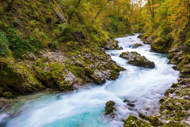 Dağ nehri Radovna 'nın soğuk masmavi suları Vintgar vadisinin sarp uçurumları arasında akar. Julian Alplerinde bir kanyon. Slovenya. Aktif, çevresel ve fotoğraf turizmi kavramı