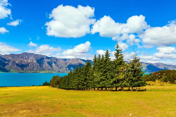 新西兰这个神奇的国家 绿松石般的湖水装饰着南岛 高山环绕着一个神奇的Hawea湖 光旅游和积极旅游的概念 — 图库照片