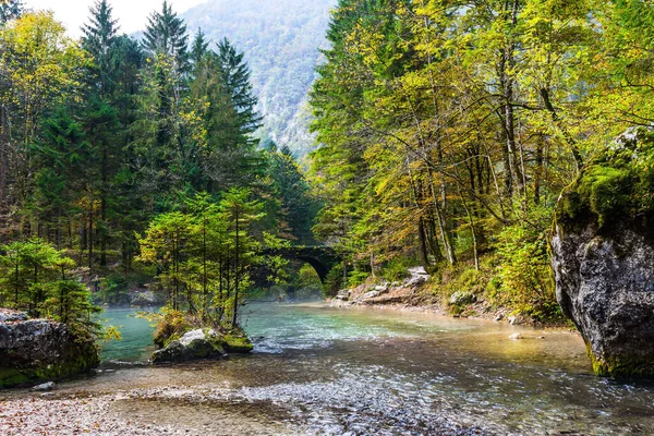 朱利安 阿尔卑斯山 淡淡的湖面上有冰川绿色的水 河上被毁的老桥 湖中映衬着秋天的森林和多云的天空 前往斯洛文尼亚的旅行 多云的一天 — 图库照片