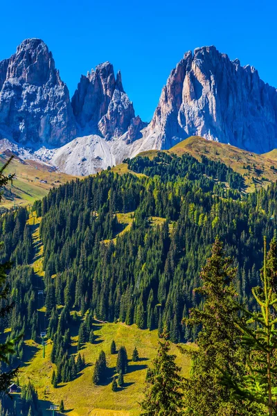 Den Vackraste Rutten Italienska Dolomiterna Barrskogarna Kolossala Vita Och Grå — Stockfoto