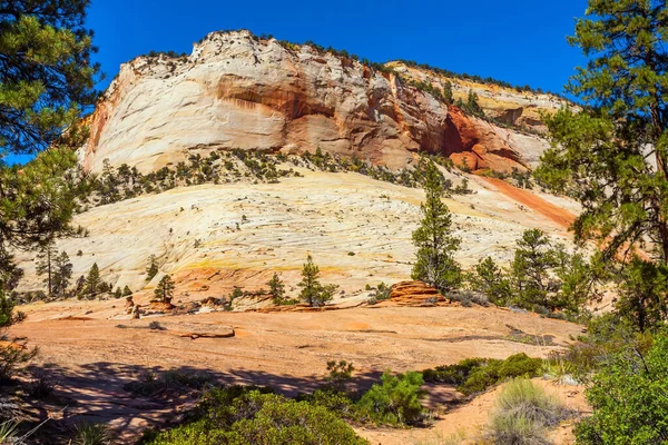 米国ユタ州のシオン キャニオン ナバホの赤い砂岩の中にあるバージニア川によって掘られた絵のように美しい長さ数キロの峡谷シオン 自動車 アクティブ 写真観光の概念 — ストック写真