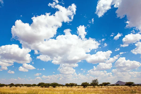 Nuvole Lussureggianti Galleggiano Nel Cielo Blu Viaggia Africa Magico Deserto — Foto Stock