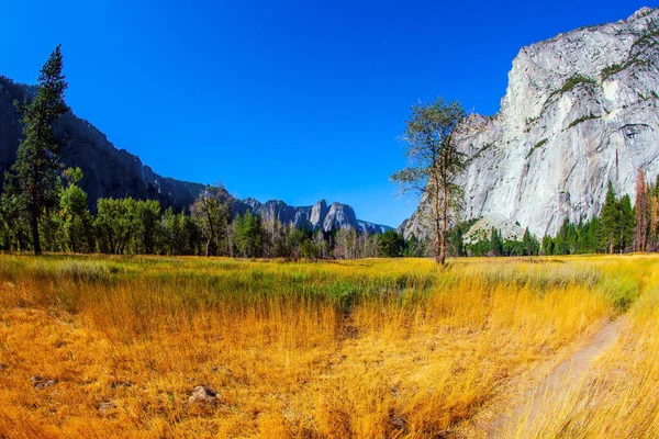 Erba Gialla Autunnale Nella Yosemite Valley California Stati Uniti Parco — Foto Stock