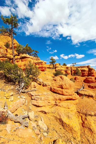 Los Cañones Los Valores Atípicos Color Marrón Rojizo Están Compuestos — Foto de Stock