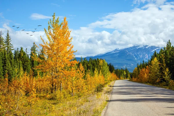 Herrlicher Altweibersommer Schwärme Von Zugvögeln Fliegen Über Die Berge Der — Stockfoto