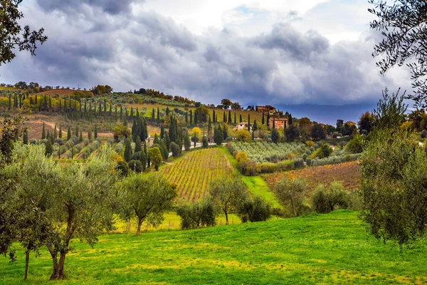 Gezellige Pittoreske Boerderijen Heuvels Van Toscane Netjes Gladde Rijen Wijngaarden — Stockfoto