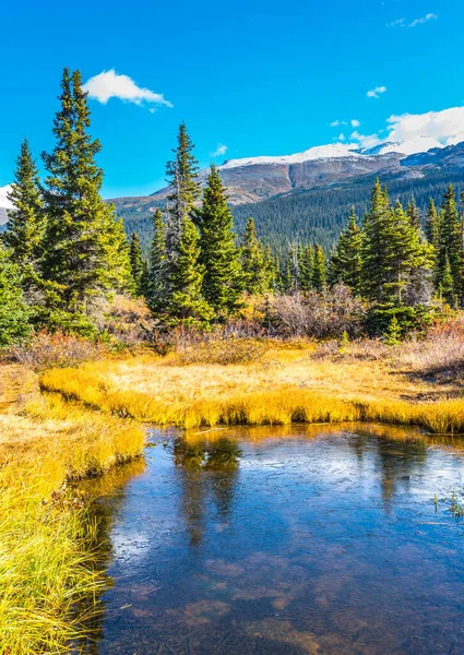 Blue Sky Reflected Water Picturesque Puddles Bow Lake Alberta Cold — Stock Photo, Image