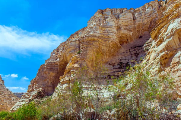 イスラエルの素晴らしい春 ネゲヴ砂漠のキャニオン アイン アバット 渓谷の明るいチョーク斜面にある絵のような洞窟 生態学的 能動的 写真的観光の概念 — ストック写真