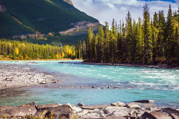 Fiume Athabasca Inizia Presso Ghiacciaio Columbia Jasper Park Canada Montagna — Foto Stock